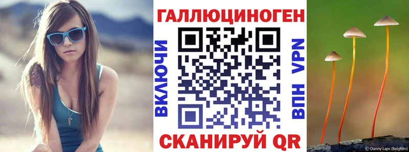 Купить закладки  Вязники  Псилоцибиновые грибы Magic Shrooms 